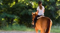 Promenade à cheval
