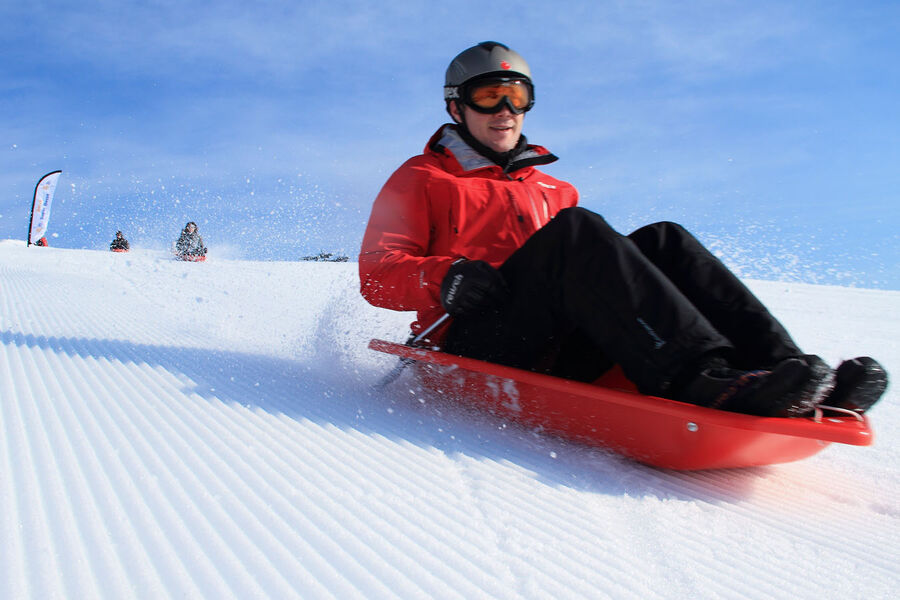 Fantasy Luge